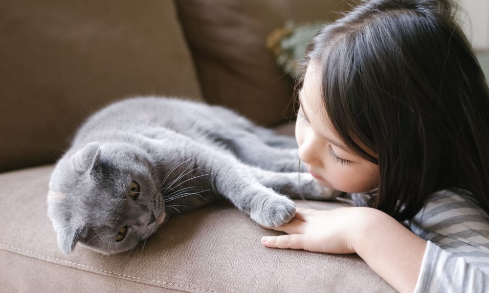 Resident petting her cat at Catherine Street in Bloomingdale, New Jersey