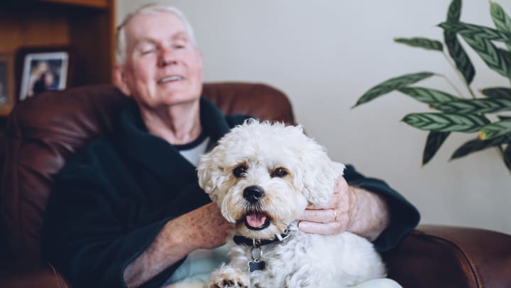 Senior man with small dog