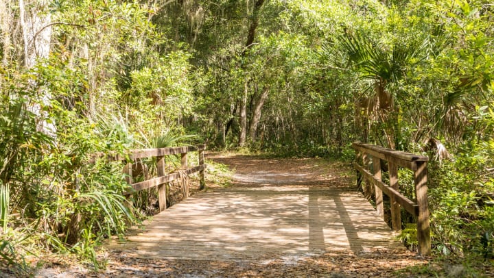 A wooden bridge leading across a creek in a park near Jacksonville, Florida.