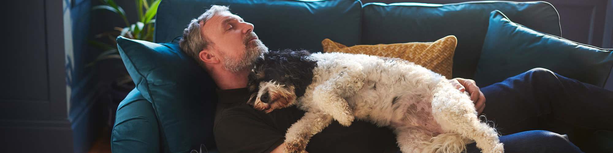 Pet-Friendly | Whistler's Cove in Mount Airy, North Carolina
