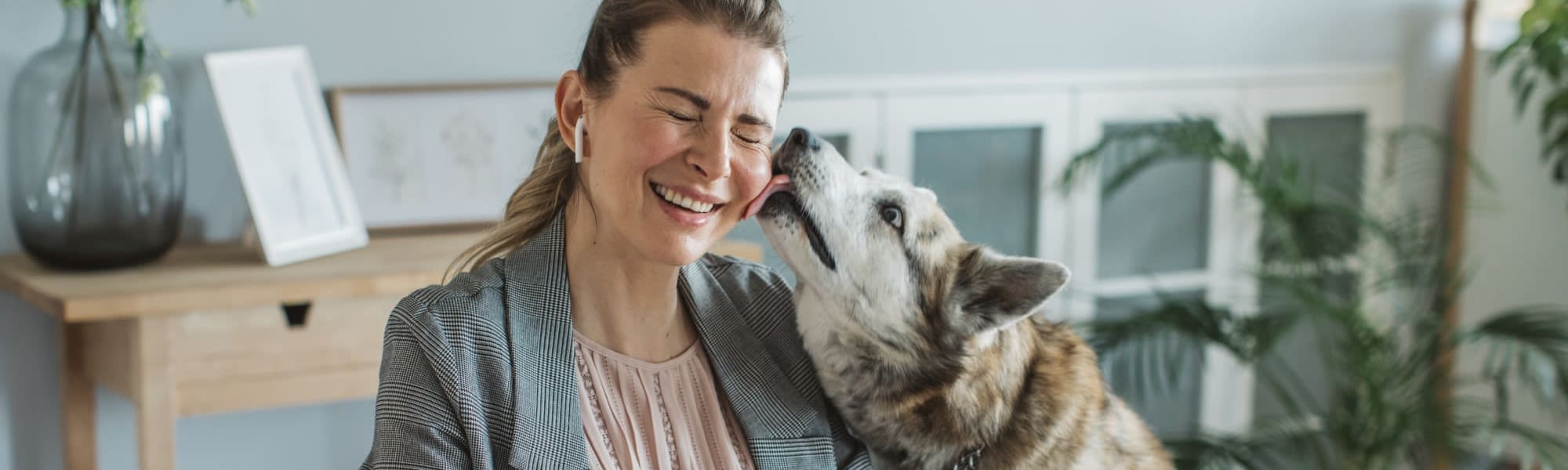 Pet-friendly apartments at The Retreat at Cinco Ranch in Katy, Texas