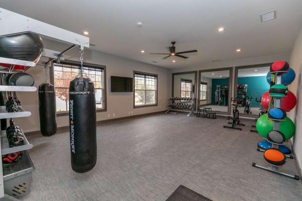 Yoga and Boxing Room at Gibson Flowery Branch | Apartments in Flowery Branch, Georgia