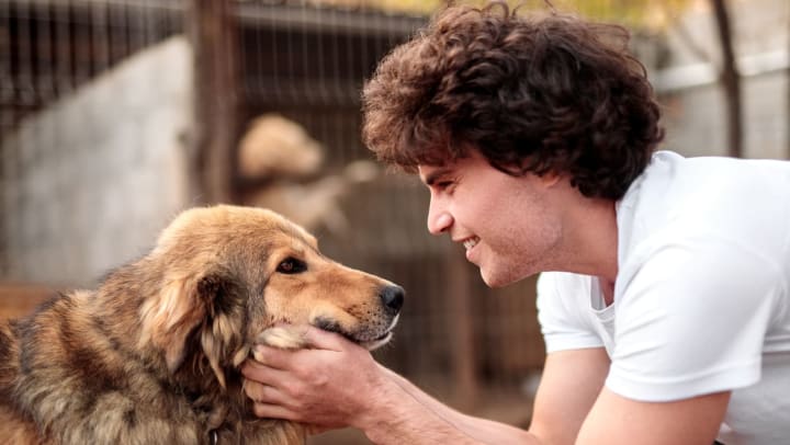 Young man petting a dog in an animal shelter | dog rescue shelters in Albuquerque