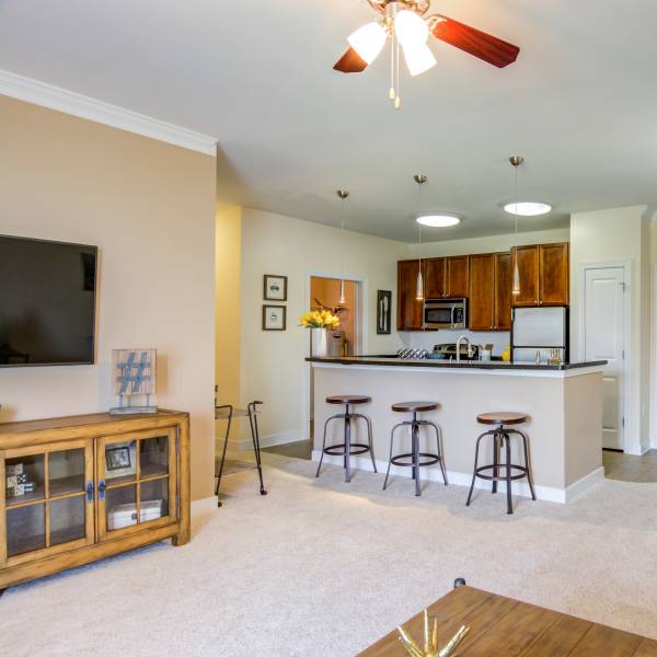 Living room and kitchen in an apartment at The Carlton at Greenbrier, Chesapeake, Virginia