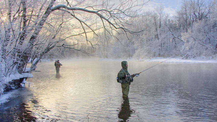 Two men fish in a stream. There is snow on the ground and on the leafless trees.