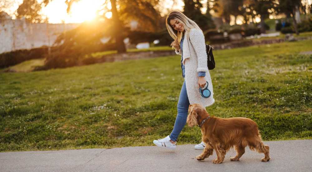 Happy dog walking with her owner at The Boulevard Apartment Homes in Woodland Hills, California