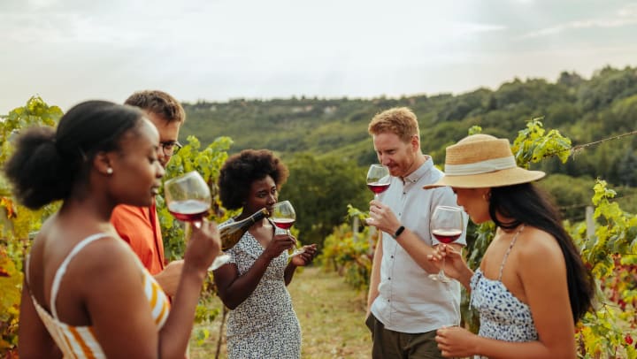 Five people standing in a wine valley with glasses of red wine held up to their lips