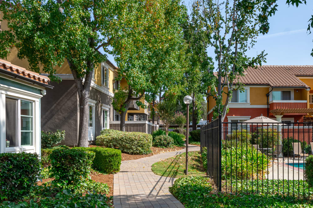 Mature landscaping and walkways at Peppertree Apartment Homes in San Jose, California