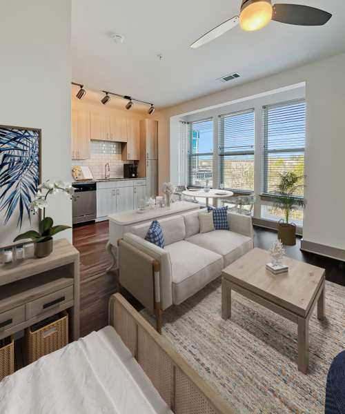 Studio layout with view of living room and kitchen at The Dartmouth North Hills in Raleigh, North Carolina