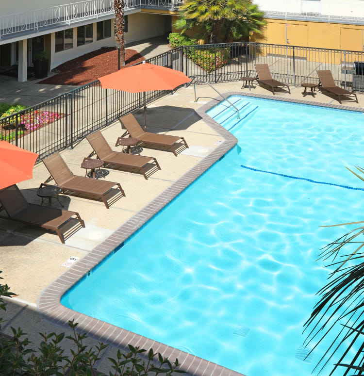 Chaise lounge chairs and shaded seating around the pool at Sofi Redwood Park in Redwood City, California