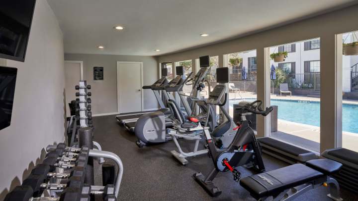 Fully-equipped gym with treadmills, weight machines, and flat-screen TVs at 