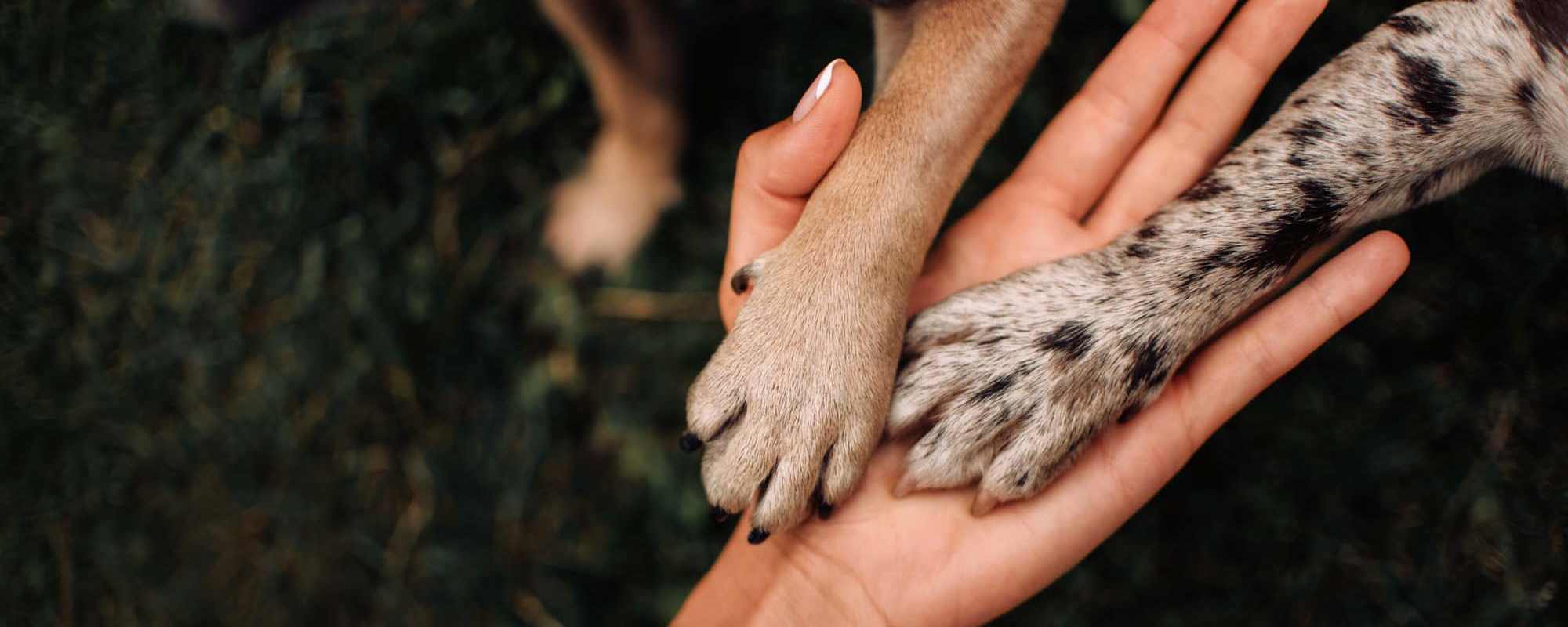 Apartments at 32Ten on the Blvd in Richland Hills, Texas