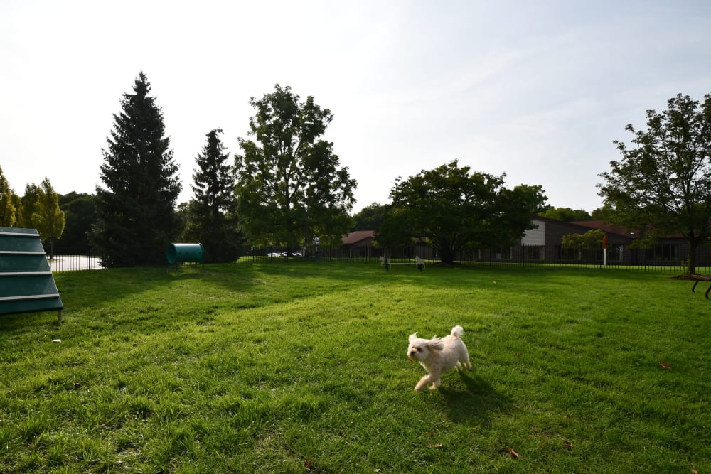 Photos of Legends Fox Creek in Clarkston, MI