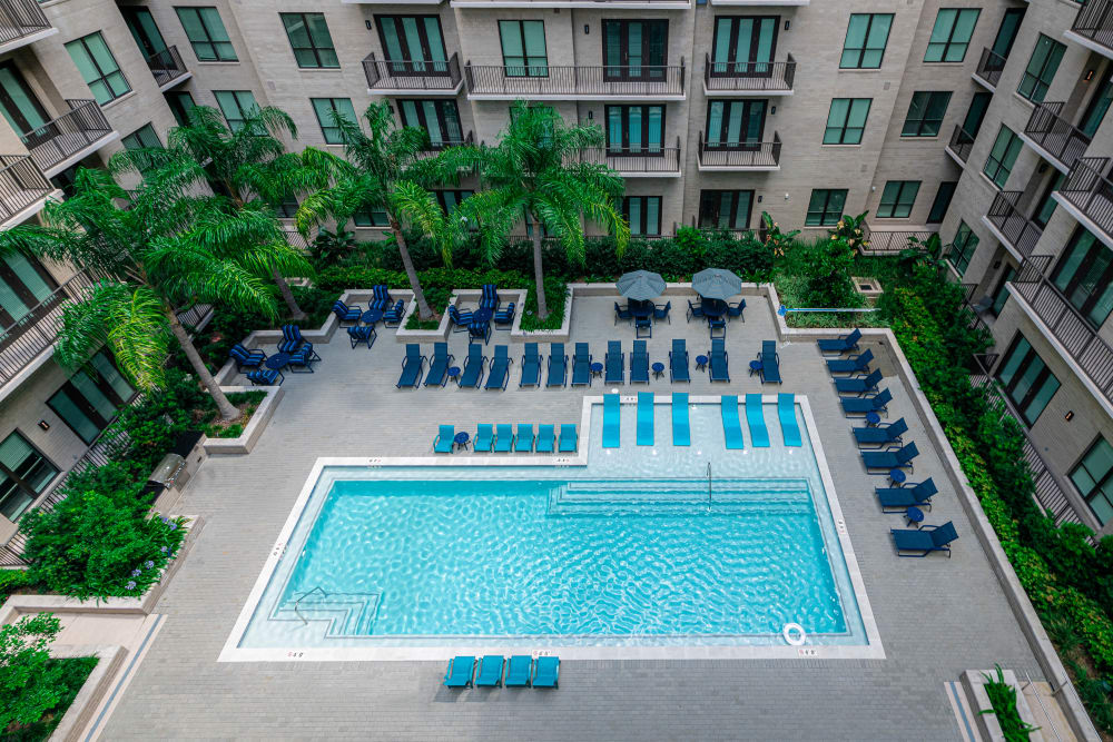 Pool at Canal1535 in New Orleans, Louisiana.