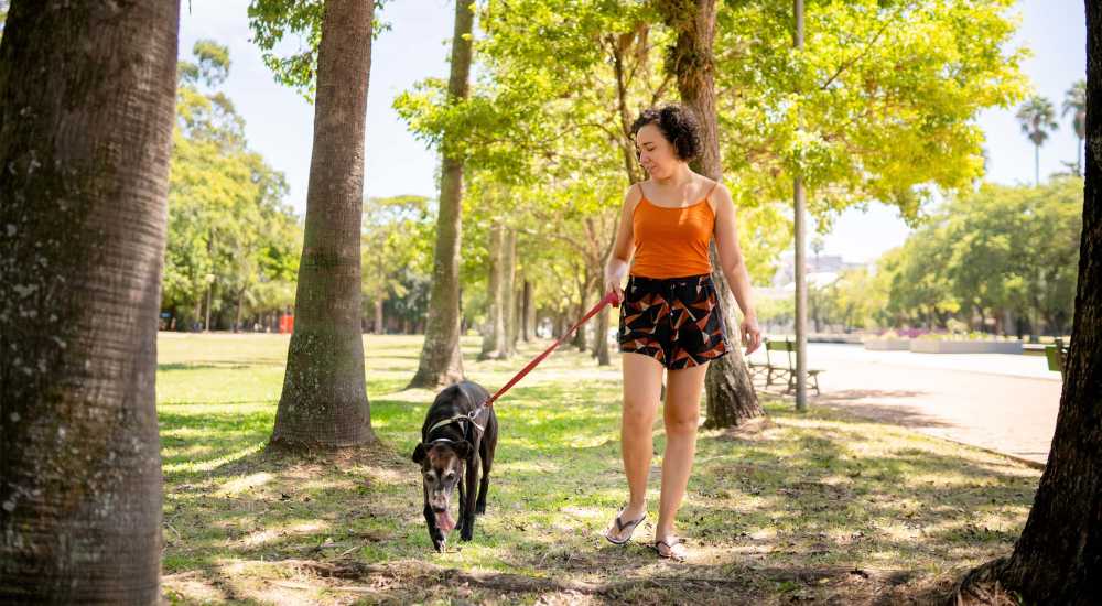 Residents walking her pet near Brentwood Apartments in Olympia, Washington