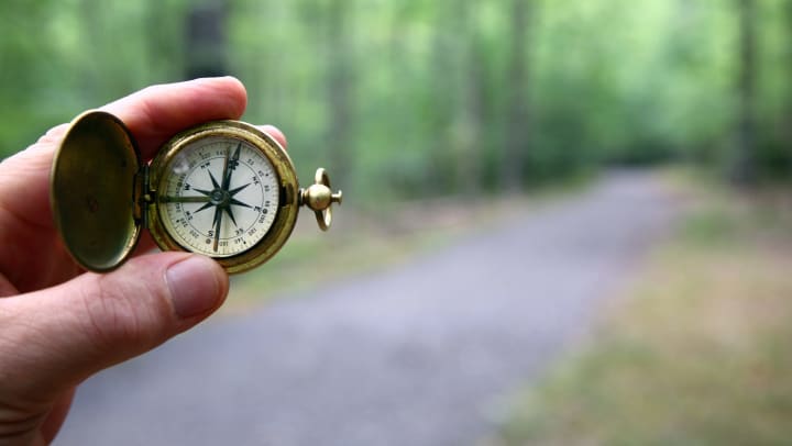 Closeup of compass with blurred wooded setting in backdrop