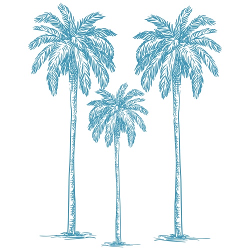 Palm tree sketch at Goldelm at Bennett Park in Bradenton, Florida