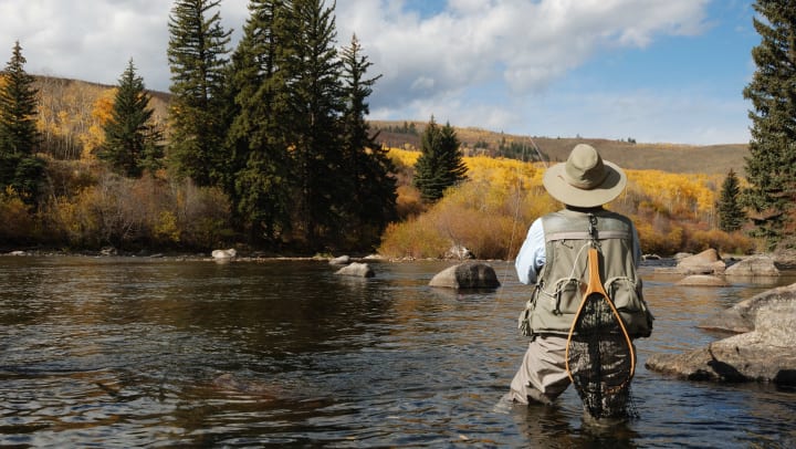 A man fly fishing in a river