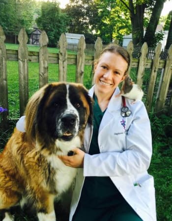 Dr. Halley at Parkview Animal Hospital