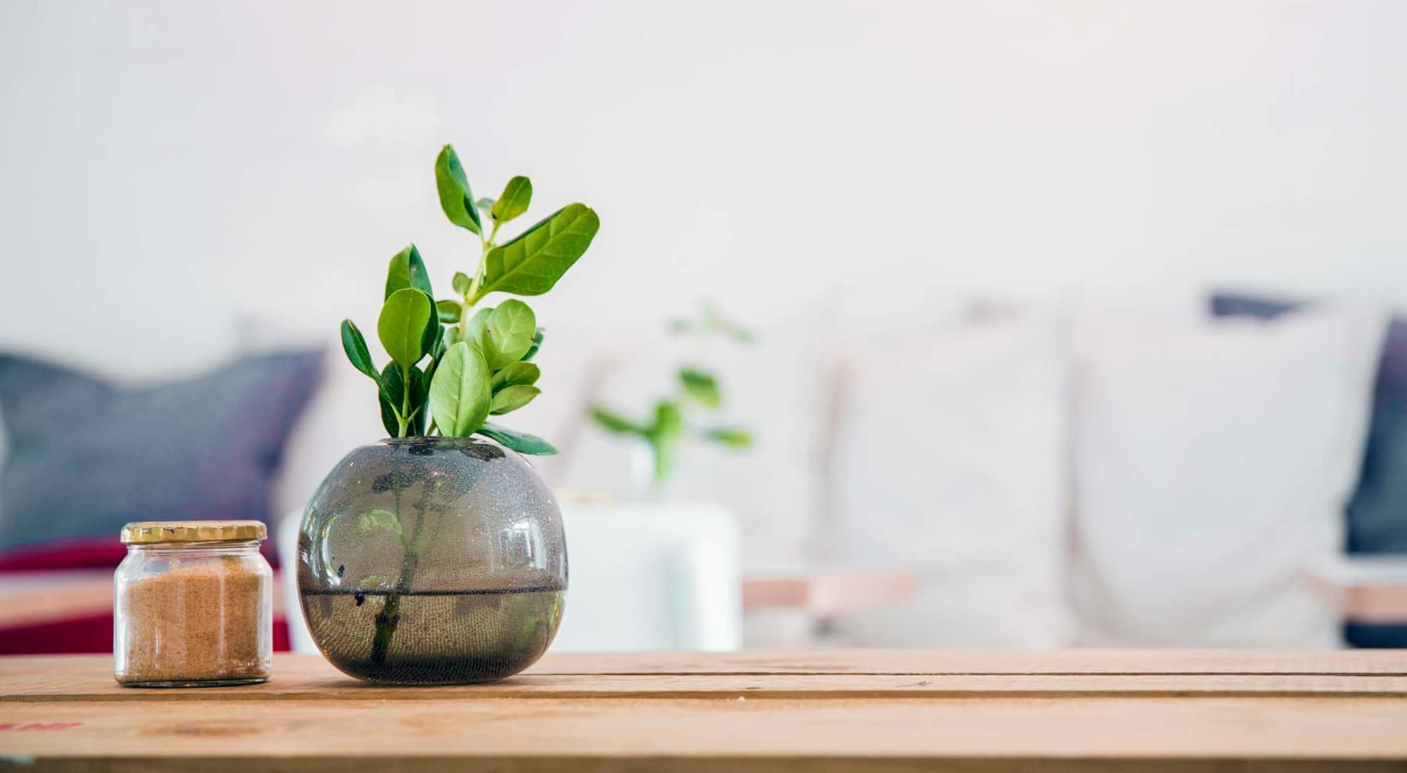 Schedule a Tour | LoHi Gold in Denver, Colorado