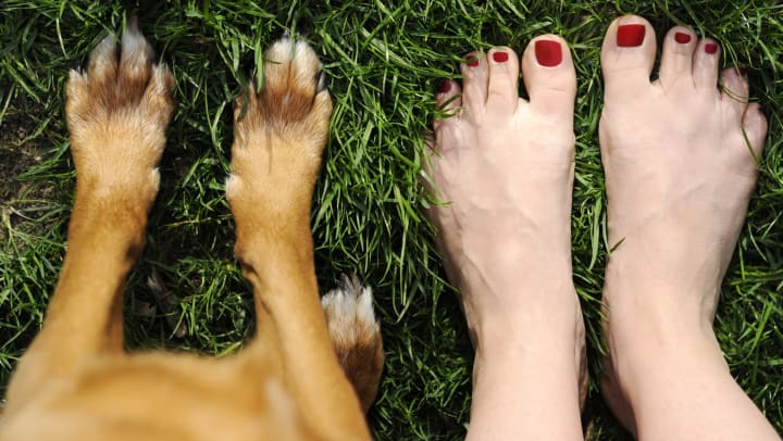 Woman and dog firmly planting their bare feet in the grass at Tacara at Westover Hills