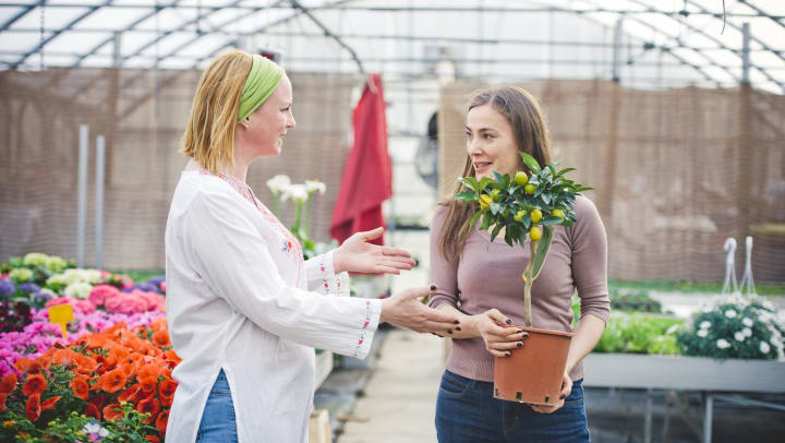One woman gesturing at another woman holding a lemon tree. 