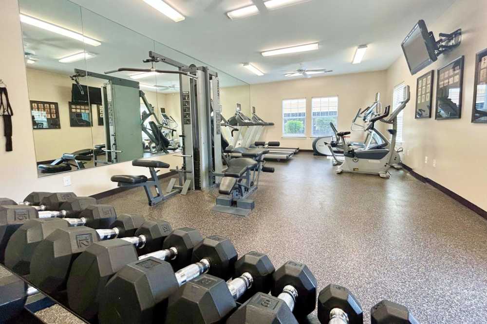 Modern fitness center with cardio and strength equipment at Arbors at Carolina Forest in Jacksonville, North Carolina