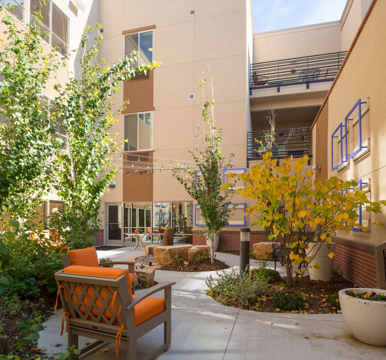 View of the beautiful memory care atrium garden at Village at Belmar