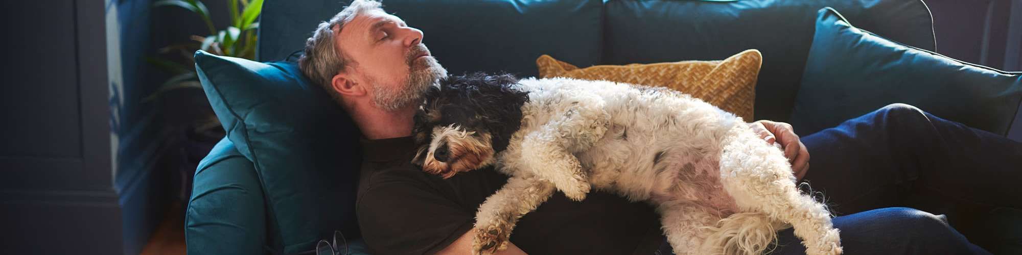 Pet Friendly | Camden Park in Canton, Mississippi