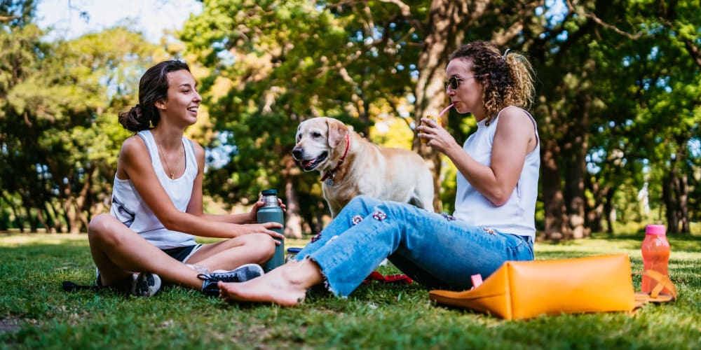 Residents hanging out in a park with their yellow Labrador near Pentagon Apartments in Fremont, California