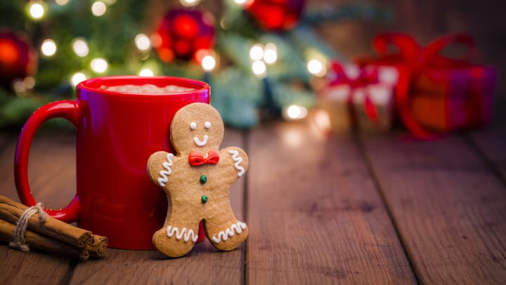 Gingerbread cookie against mug of hot chocolate with a bundle of cinnamon sticks.