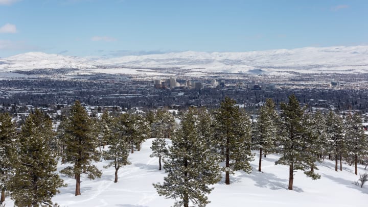 Snow and trees on a hillside overlooking Reno with snowy hills in the background
