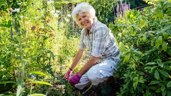 Senior gardening