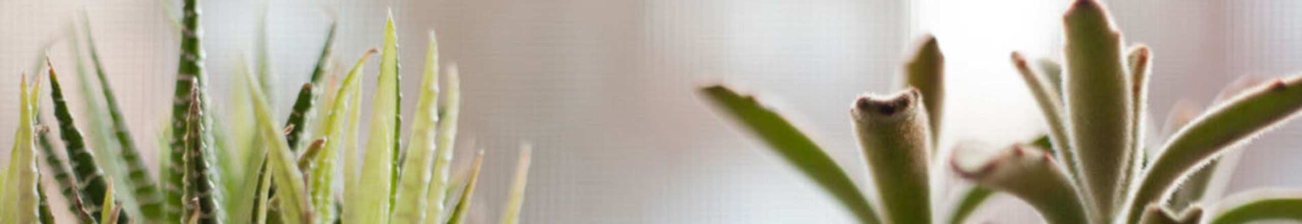 Contact | Broadway Street Apartments in Lowell, Massachusetts
