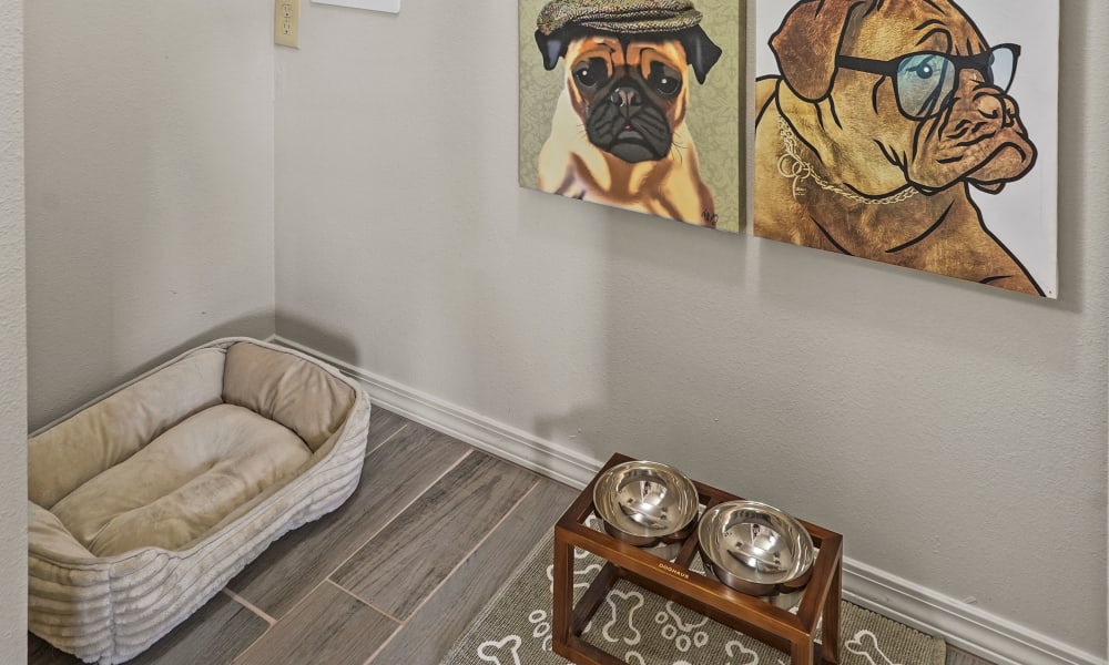 Laundry room and pet station at Scissortail Crossing Apartments in Broken Arrow, Oklahoma
