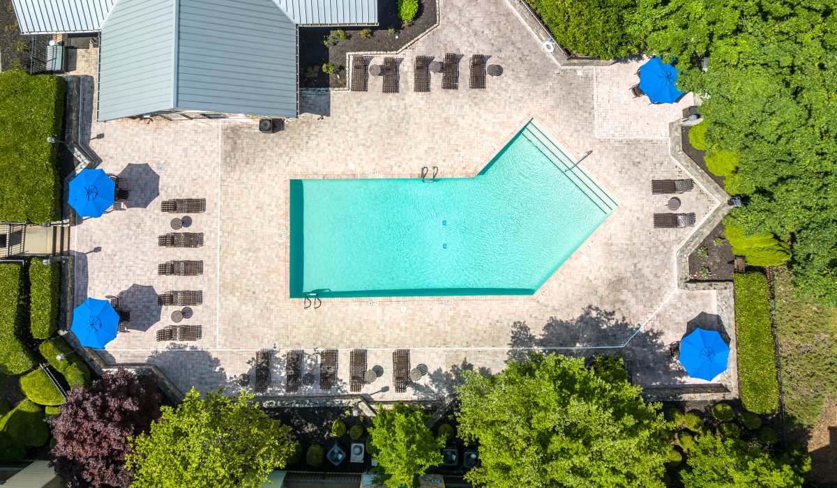 Overhead View of the Pool at Goldelm at The Views in Asheville, North Carolina