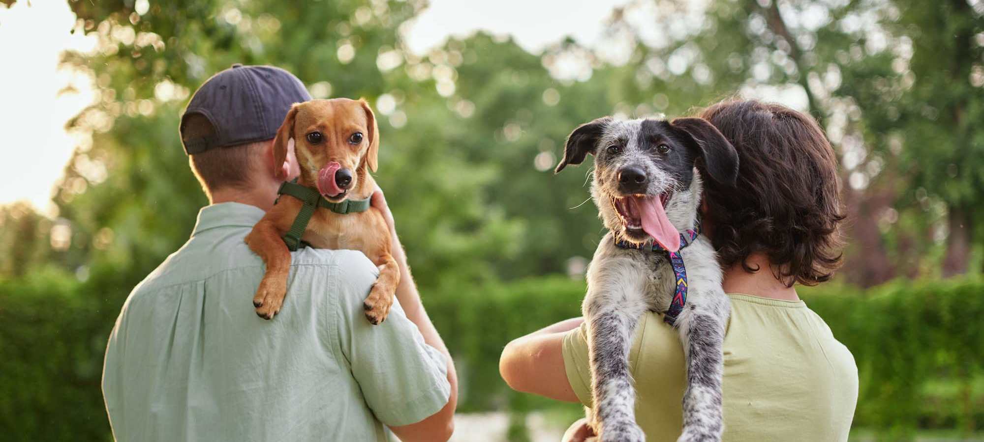 Pet Friendly at Autumn Chase Apartments in Vancouver, Washington