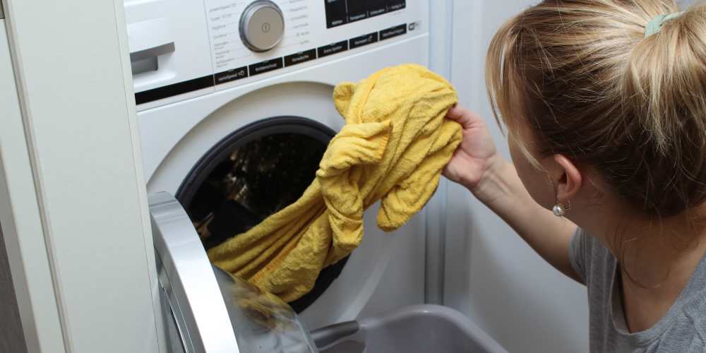 Inquisitive pup on the couch in a model apartment at Central West End Apartments in Saint Louis, Missouri