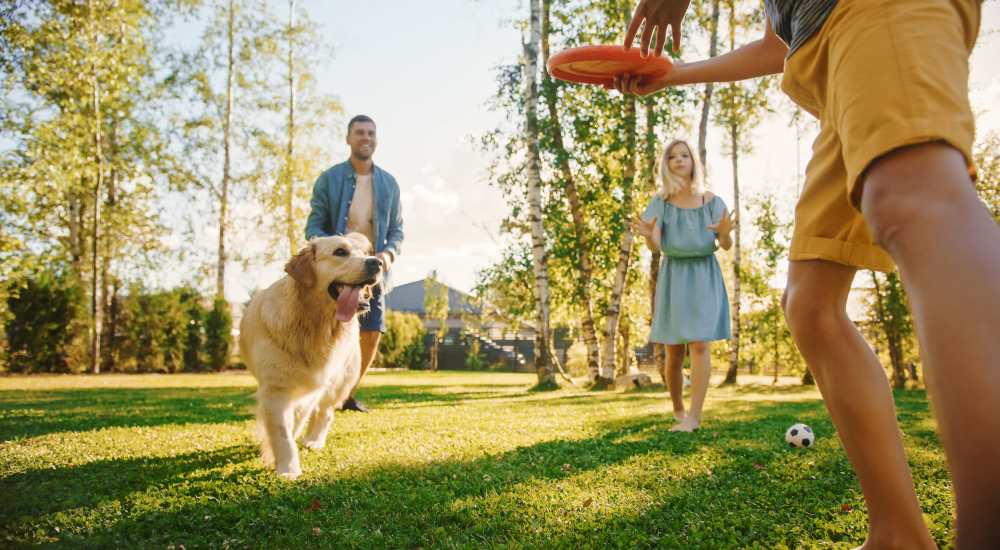 Residents playing with their dog at a park near Baxter Apartments in Bozeman, Montana