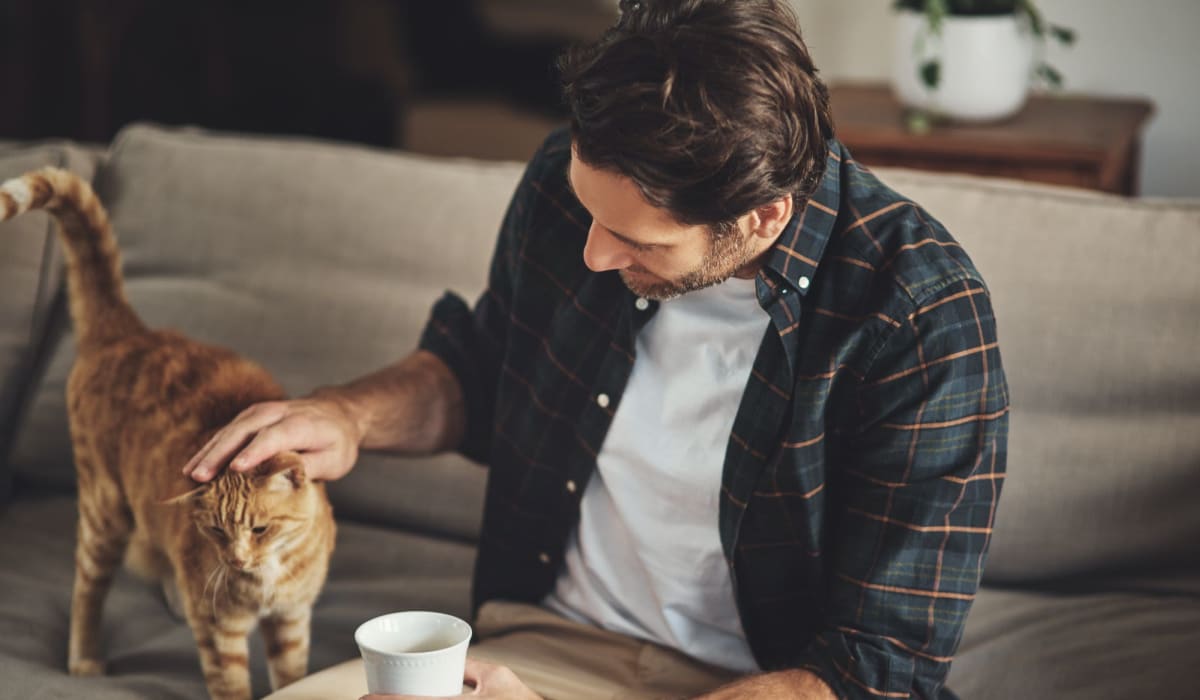 Resident playing with his cat at Riverside Apartments in Tempe, Arizona