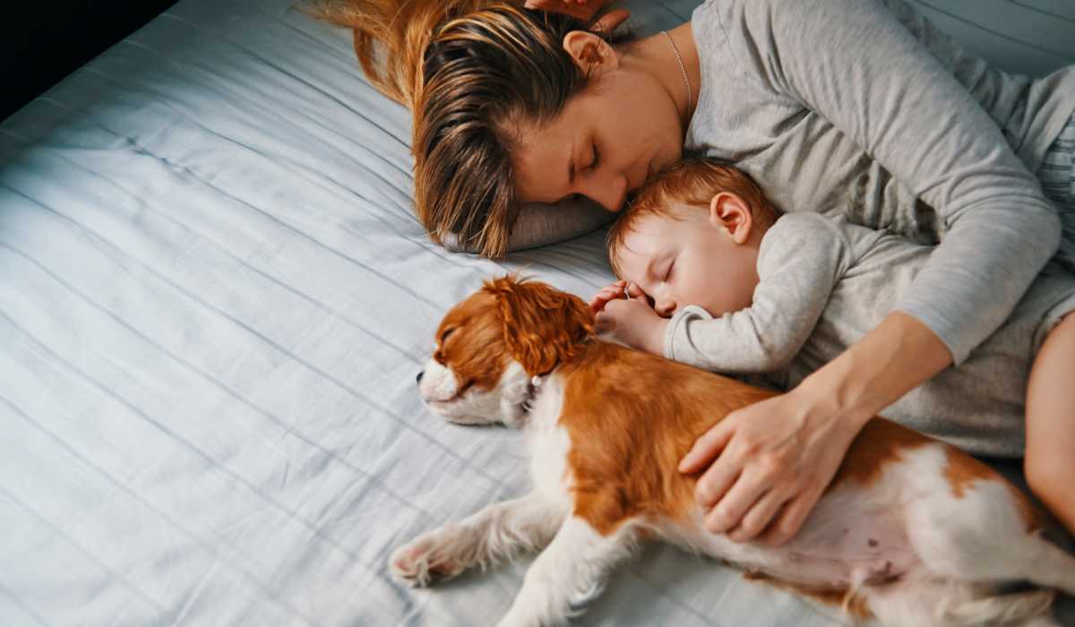 Woman snuggled up with her child and pet in the comfy bedroom at Fox Ridge in Longmont, Colorado