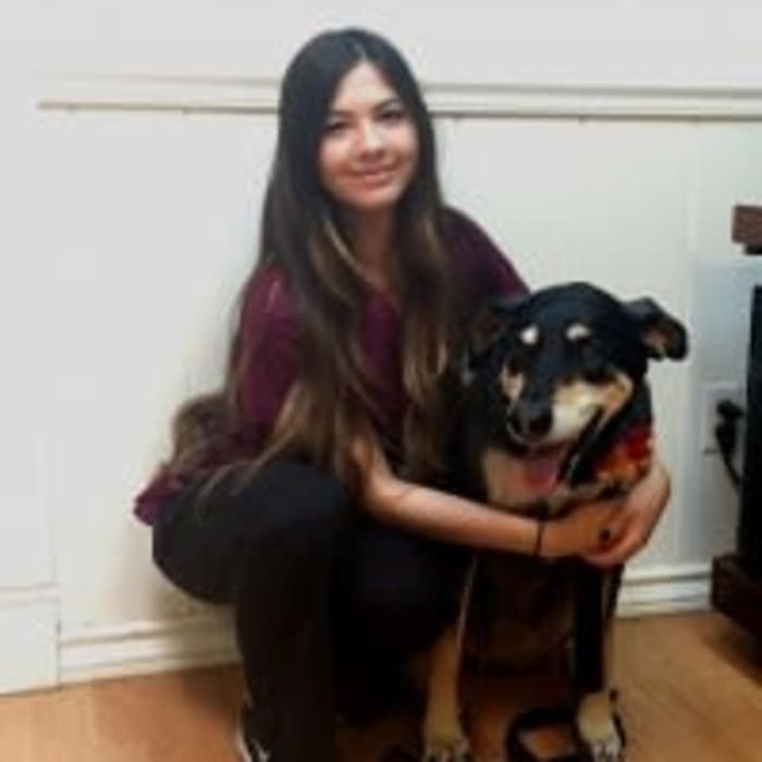 Kelsi at Arizona Avenue Animal Clinic in Chandler, AZ