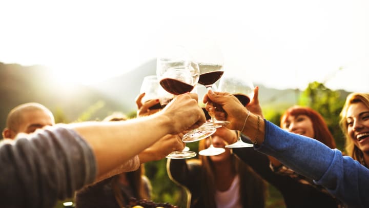 Group of people toasting with glasses of red wine