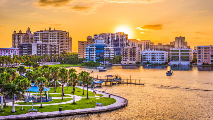 Landscape view of a scenic park with palm trees and a harbor with high-rise buildings in the background at sunset