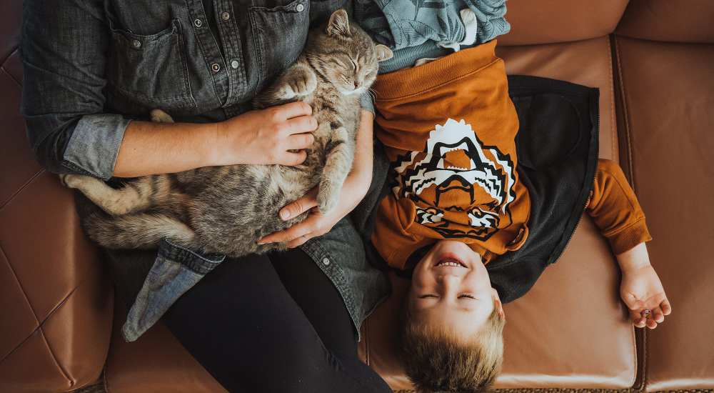 Resident playing with her cat at Cedar Hill in Hilton, New York