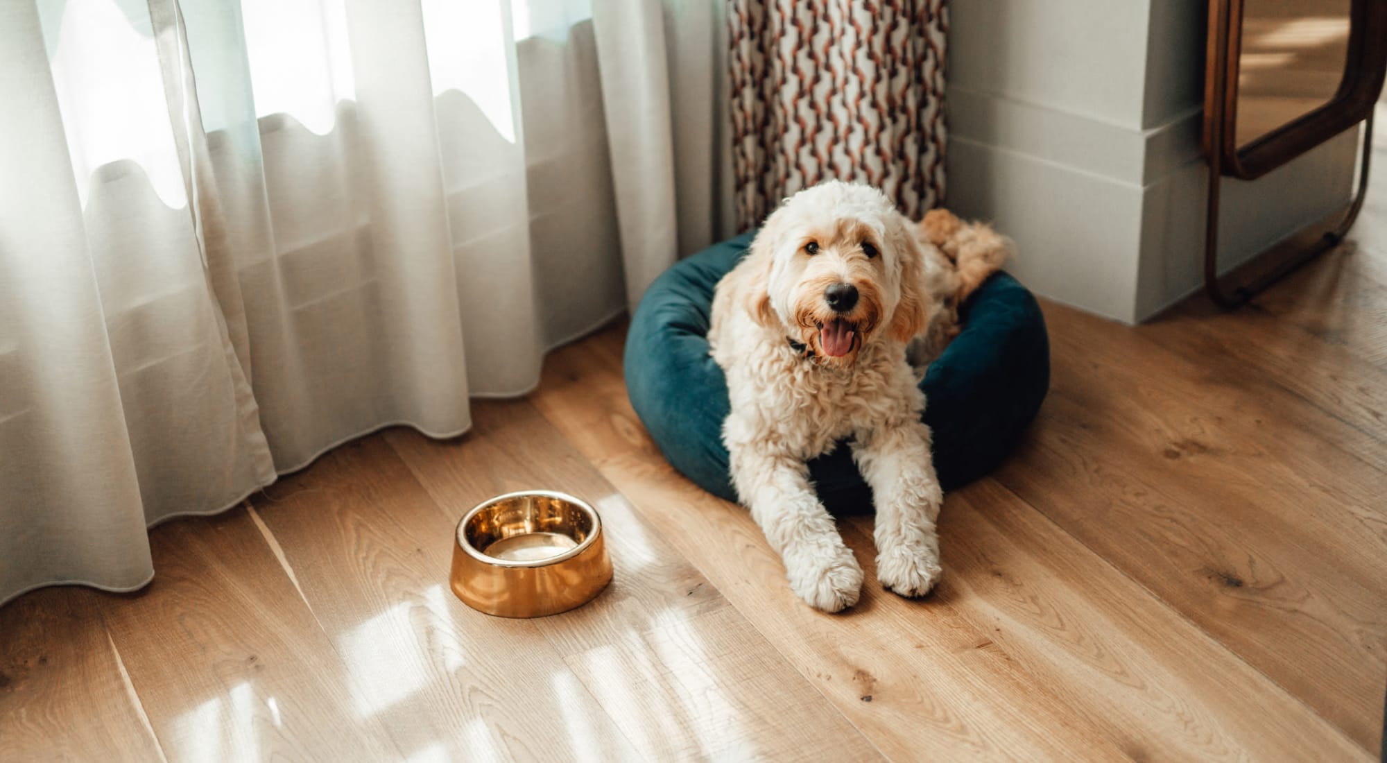 Pet-friendly apartments at 17 Barkley in Gaithersburg, Maryland
