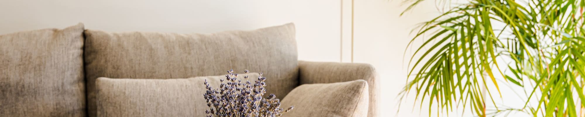 Apply online at Anvil 38 Apartments in Lafayette, Indiana