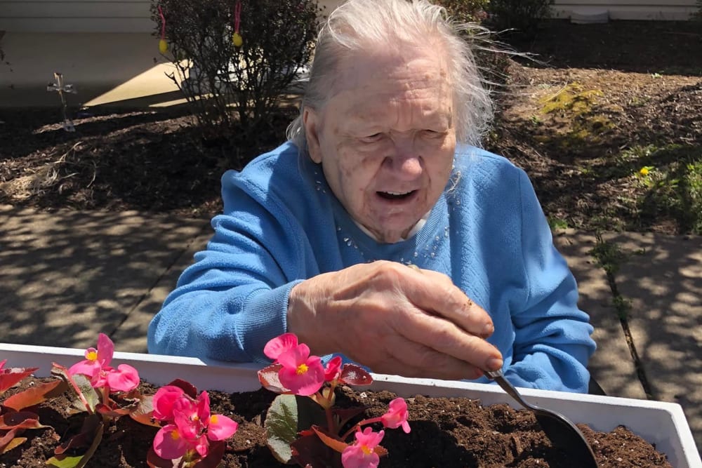 A smiling resident planting flowers at Lavender Hills Front Royal Campus building in Front Royal, Virginia
