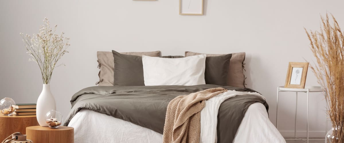 Minimalist model bedroom with great natural light at Solaire 8250 Georgia in Silver Spring, Maryland