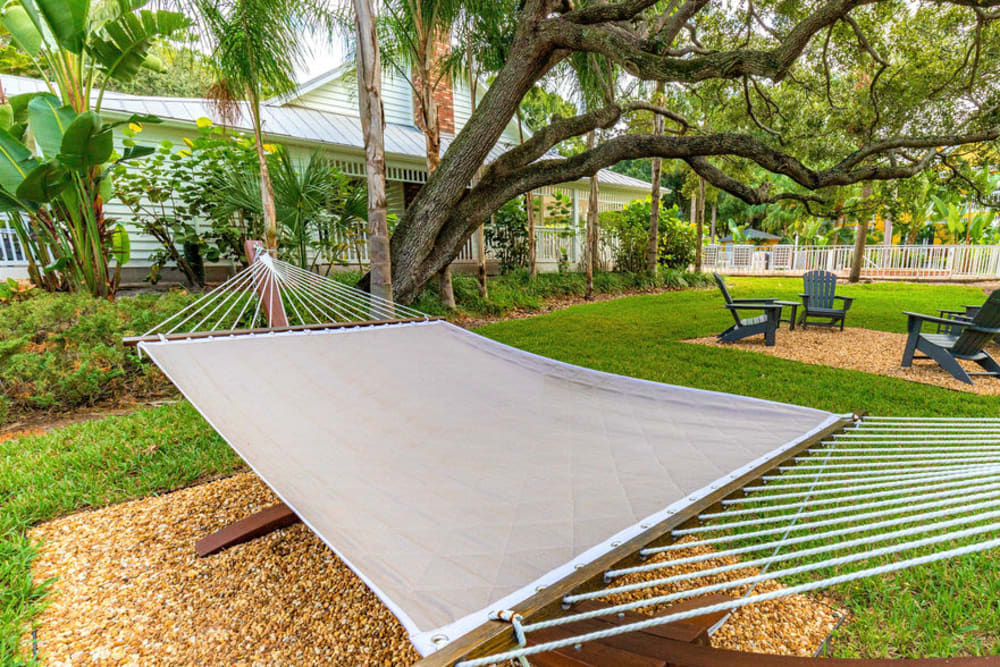 An outdoor hammock underneath a tree at Mode at Ballast Point in Tampa, Florida